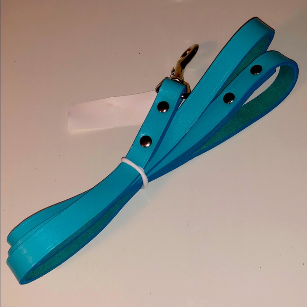 Turquoise leather dog leash 4”long silver accents